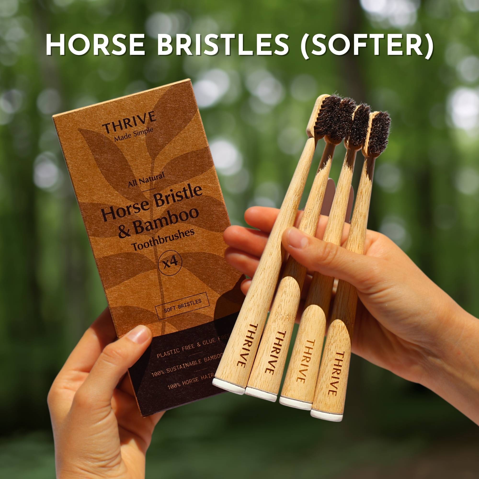 Boar or Horse Bristle Toothbrush (4 Pack)