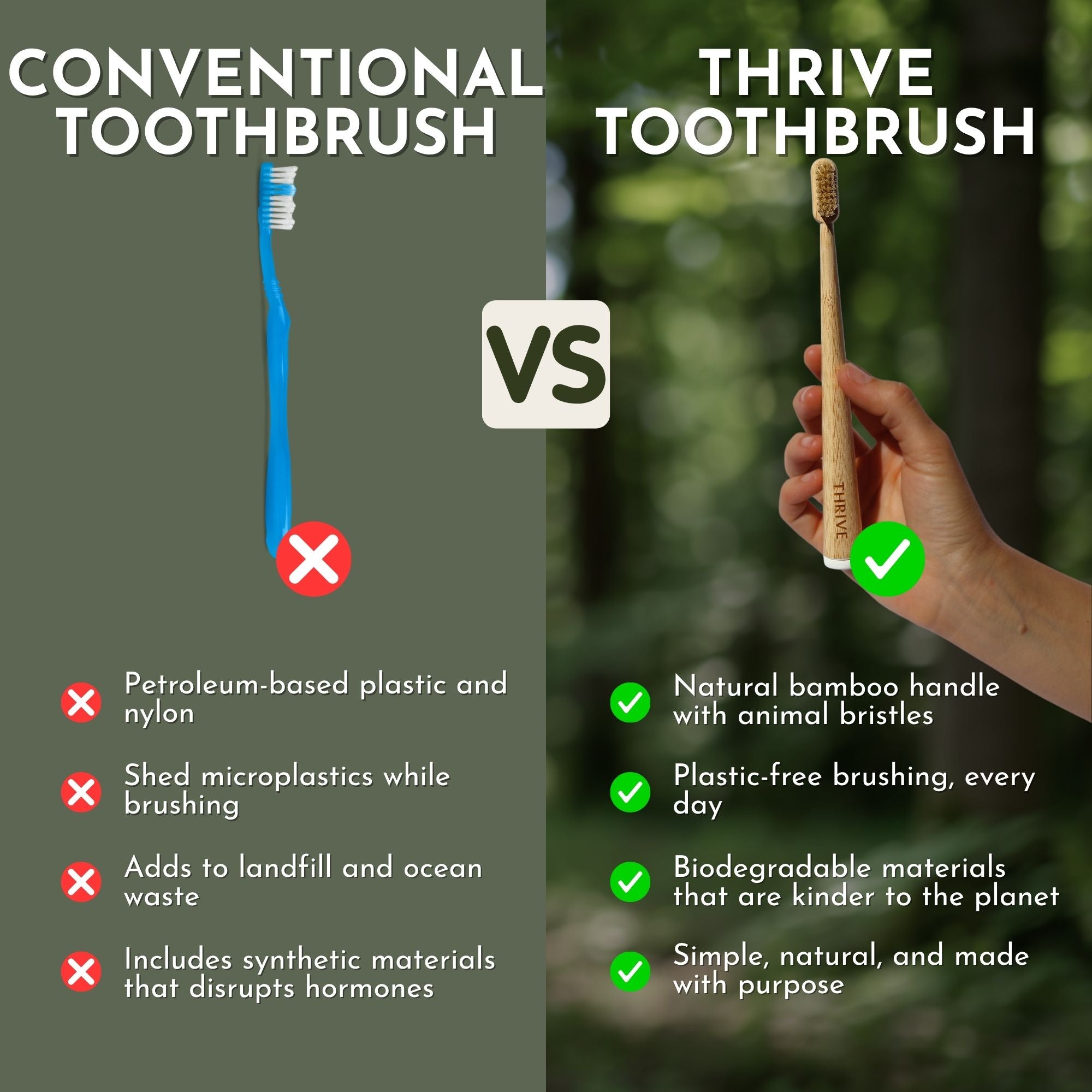 Boar or Horse Bristle Toothbrush (4 Pack)