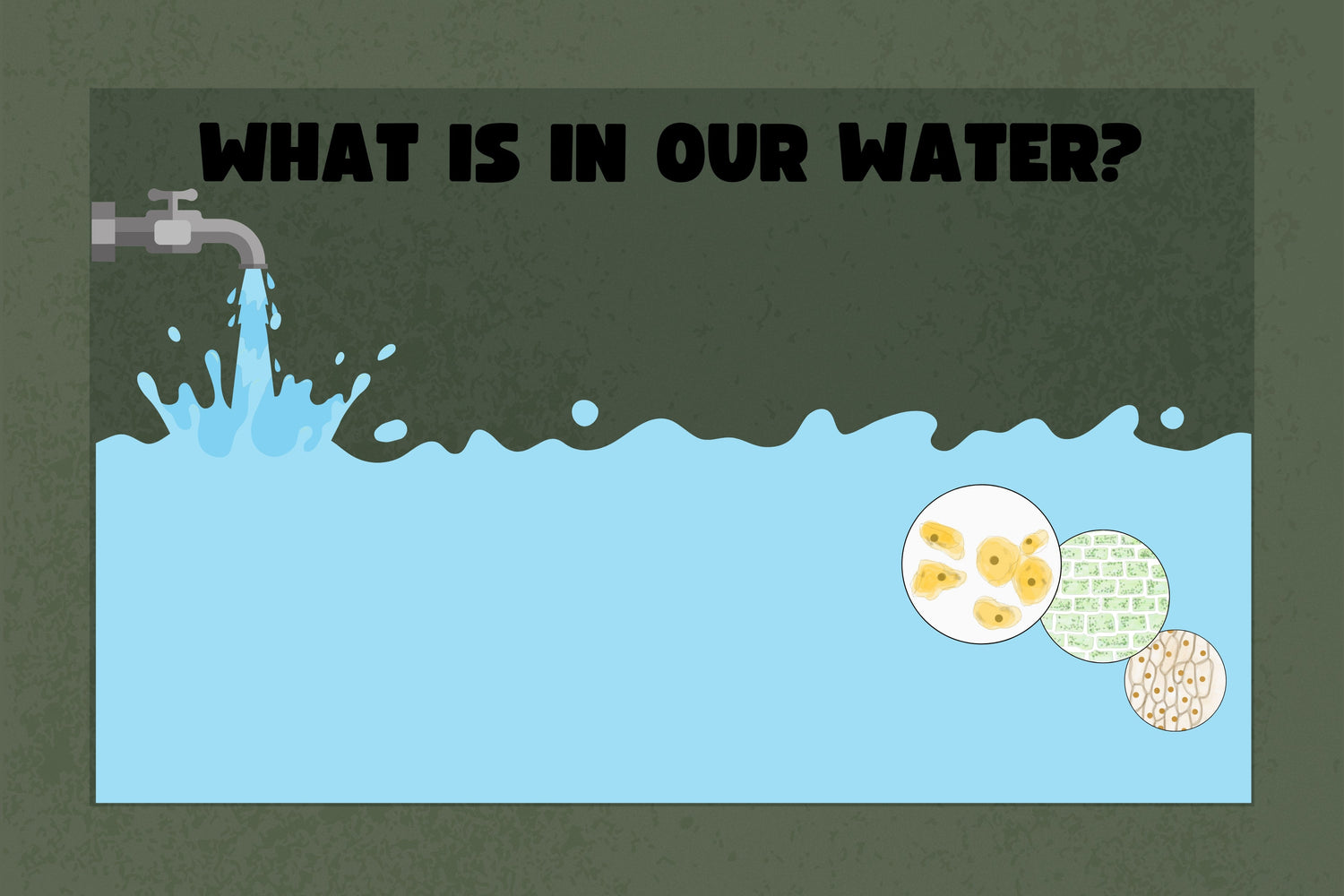 Your Simple Guide to Safer Water