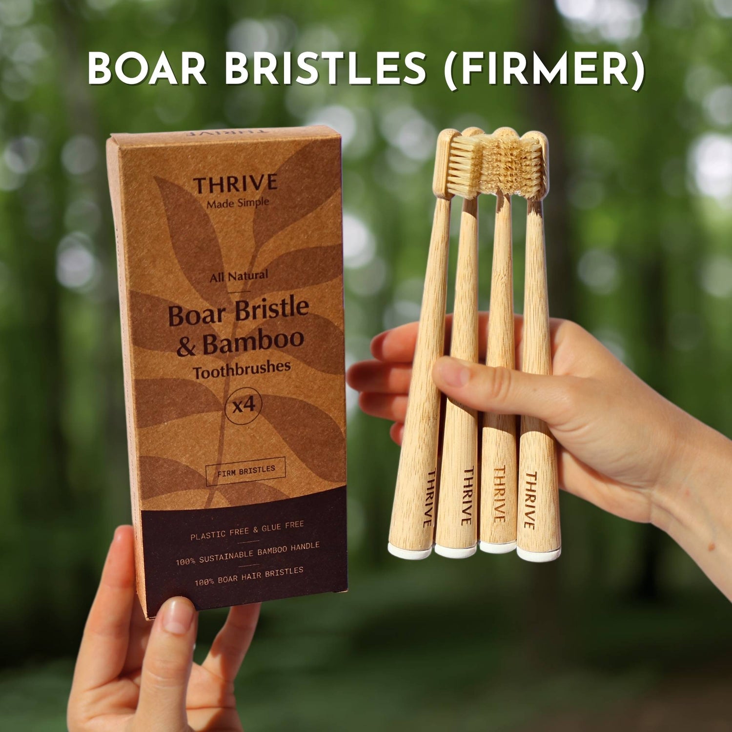 Boar or Horse Bristle Toothbrush (4 Pack)