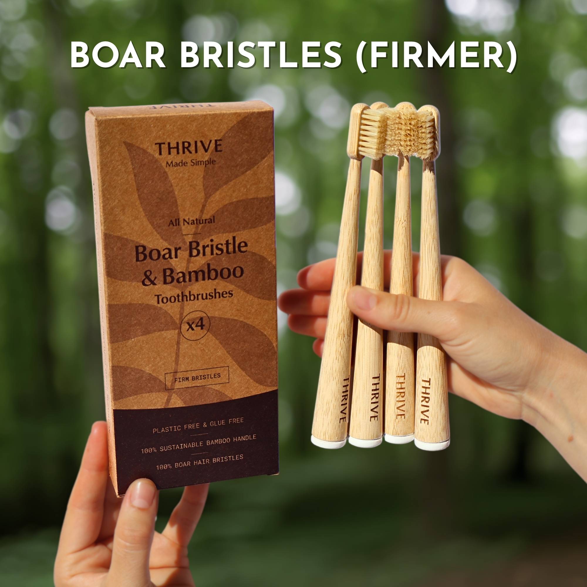 Boar or Horse Bristle Toothbrush (4 Pack)