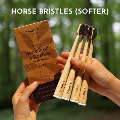 Boar or Horse Bristle Toothbrush (4 Pack)