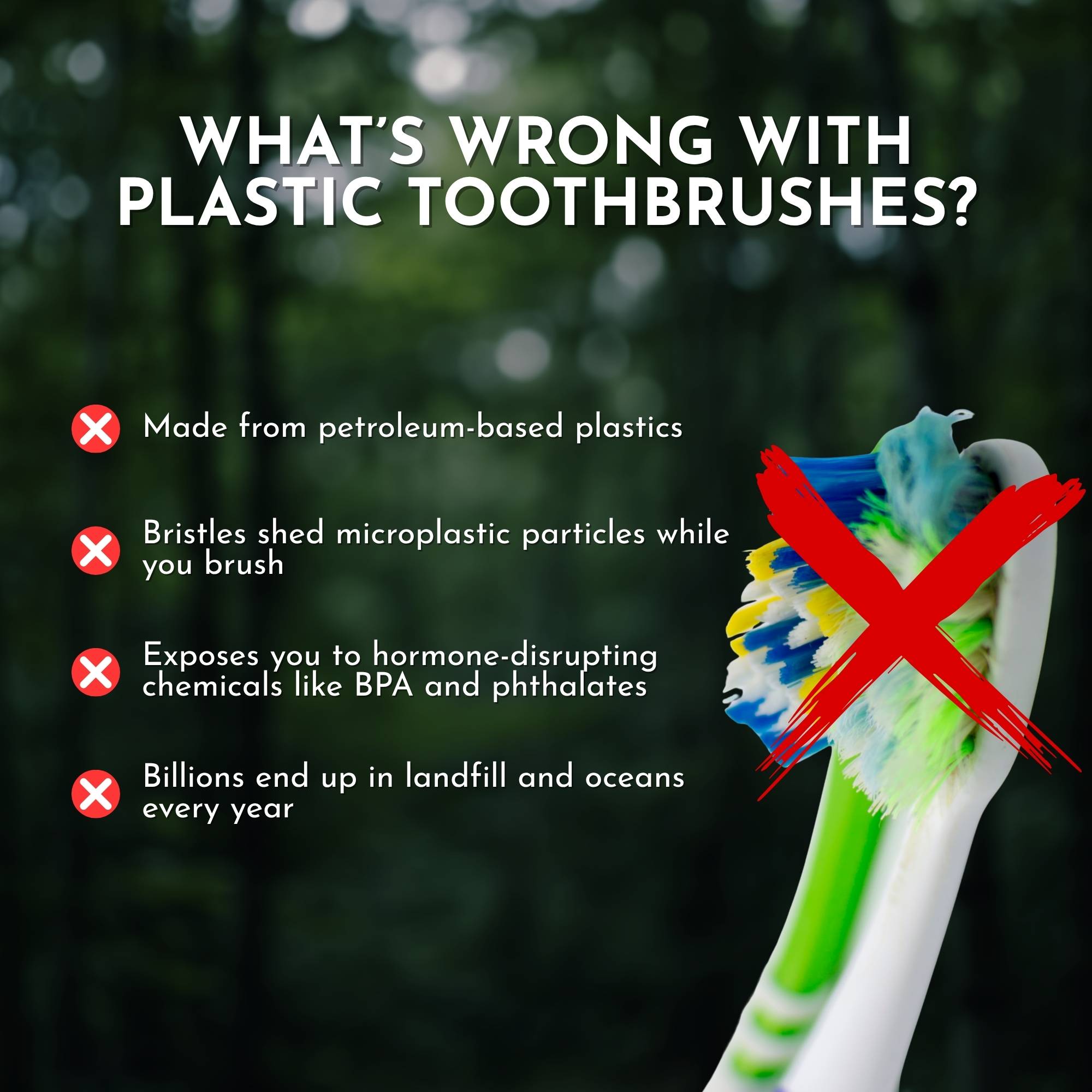 Boar or Horse Bristle Toothbrush (4 Pack)