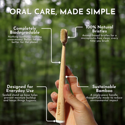 Boar or Horse Bristle Toothbrush (4 Pack)