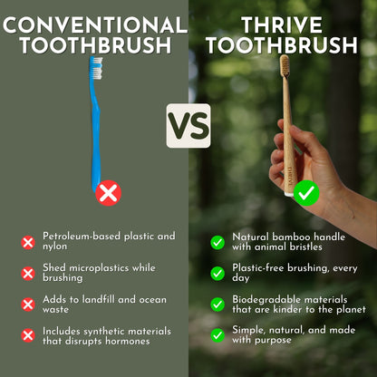 Boar or Horse Bristle Toothbrush (4 Pack)